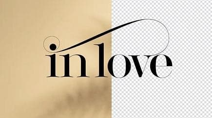 Logo Background Remover